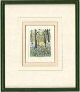 Mary George - Signed Limited Edition Contemporary Etching, Bluebell Way