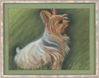 Framed 20th Century Pastel - Portrait of a Terrier