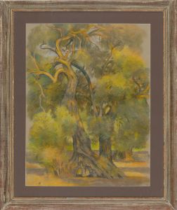 Christina Hessenberg - Framed Contemporary Pastel, Olive Trees in Turkey