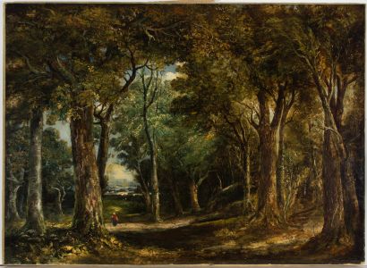 Arrtib. Robert Ladbrook (1768-1842) - 19th Century Oil, Wooded Landscape