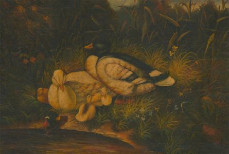 Late 19th Century Oil - Duck and Ducklings
