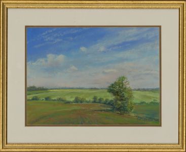 Jon Warden - Signed 1993 Pastel, May in the Bardfields, Essex