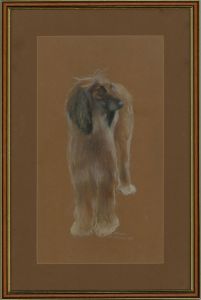 J. Holden - Signed and Framed 1998 Pastel, Portrait of an Afghan Hound, Khan