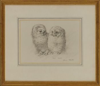 Arthur Spencer Roberts (1920-1997) - 1977 Graphite Drawing, Tawny Owlets