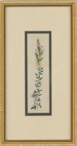Framed Late 19th Century Watercolour - Floral Garland