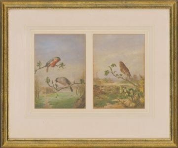 Harry Y. Bright (1846-1895) - A Pair of Watercolours, Chaffinches and Thrush