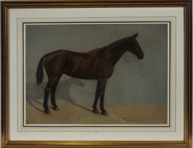 F. Prosser - Framed & Signed 1928 Pastel, Jane, Study of a Horse