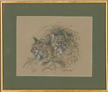 Nora Howarth - Signed & Framed 20th Century Pastel, Study of Two Lynx Cats