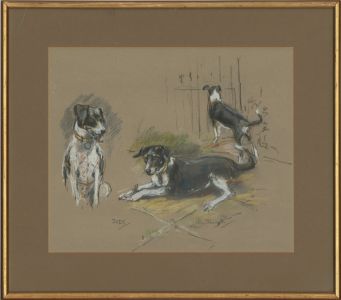 Nora Howarth - Signed & Framed 20th Century Pastel, Studies of Judy the Dog
