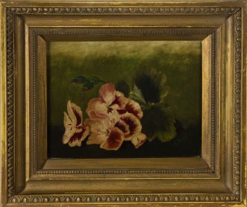 Edmund Morison Wimperis (1835-1900) - Oil, Still Life of Pansies