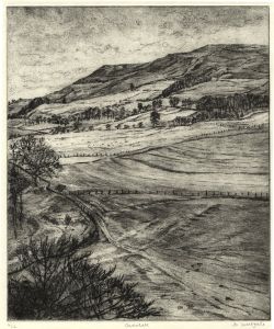 Jo Westgate - Contemporary Drypoint, Coverdale Signed Edition of 12