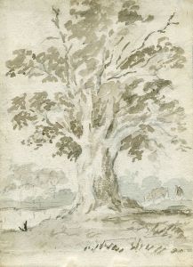 Watercolour of a Tree