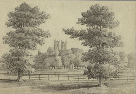 19th Century Graphite Drawing - Excellent Country Landscape