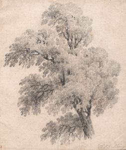 Thomas Billing - Good 19th Century Graphite Drawing, Tree