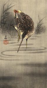 Very Fine 19th Century Oriental Woodblock - Japanese Bird