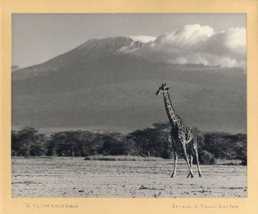 Arthur H Firmin - Mid 20th Century Photograph, Ruwenzori