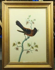 Tergueza - Early 20th Century Mixed Media, Bird Feather Picture