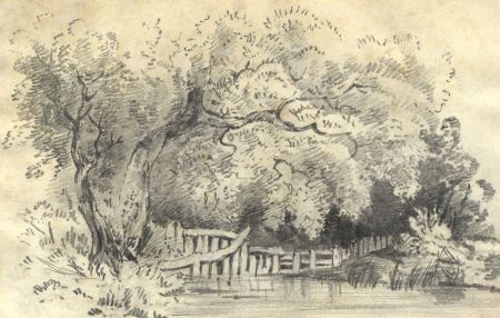19th Century Graphite Drawing - Copy from a Sketch by Illegible