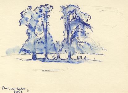 Frances Watt - 1961 Watercolour, Elms Near Taplow