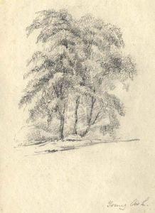 R Tregelles - 19th Century Graphite Drawing, Young Ash