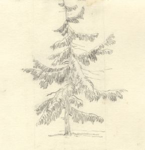 Lilly Gosset - 19th Century Graphite Drawing, Tree