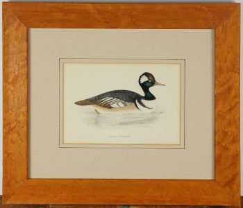 Early 20th Century Picture Frame - Birdseye Maple Frame with Etching of Duck