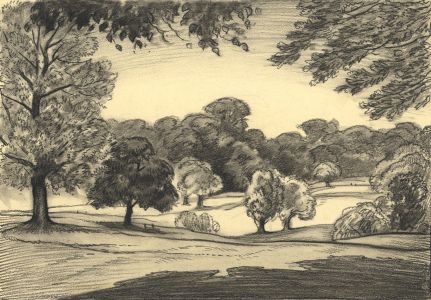 Adrian Hill - 1935 Charcoal Drawing, Trees