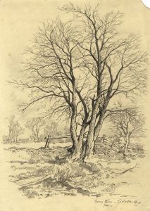 Adrian Hill - Mid 20th Century Charcoal Drawing, Thorn Tree