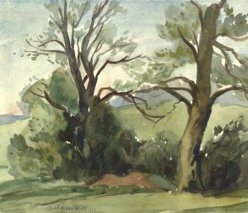Adrian Hill - 1969 Watercolour, Trees at Midhurst, Sussex