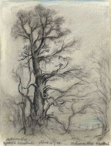 Adrian Hill - 1974 Charcoal Drawing, Spanish Chestnuts, St Anne's Hill, Midhurst