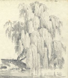 Mid 19th Century Graphite Drawing - Willow Tree