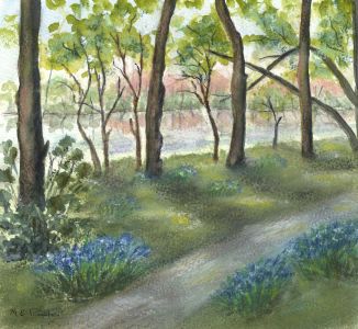 Elizabeth Painter - Contemporary Watercolour, Wooded Path