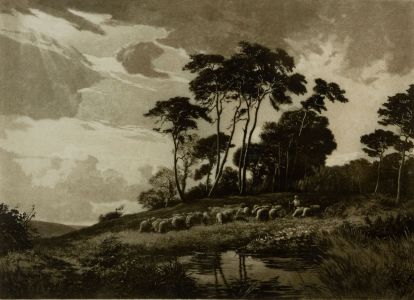Joseph Kirkpatrick - 1919 Etching, Shepherd and Sheep against Surrey Pines