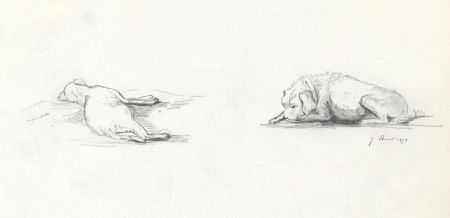 Mid 19th Century Graphite Drawing - Dog Studies