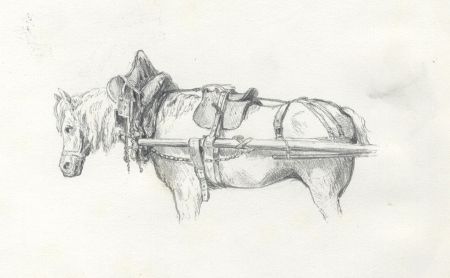 Mid 19th Century Graphite Drawing - Carthorse