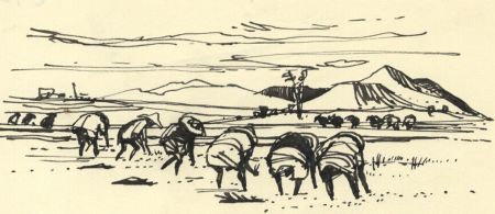 Paul Sharp - Mid 20th Century Pen and Ink Drawing, Rice Field Workers, Far East