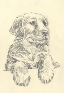 Keith Burtonshaw - Mid 20th Century Graphite Drawing, Labrador