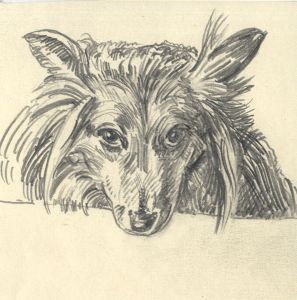 Keith Burtonshaw - Mid 20th Century Graphite Drawing, Dachshund