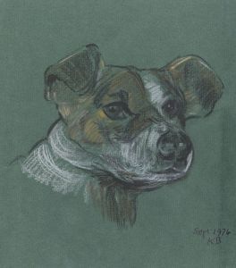 Keith Burtonshaw - 1976 Pastel, Jack Russell Terrier
