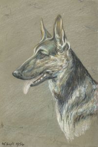 Keith Burtonshaw - 1954 Pastel, Alsatian