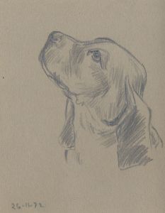 Keith Burtonshaw - 1972 Graphite Drawing, Beagle