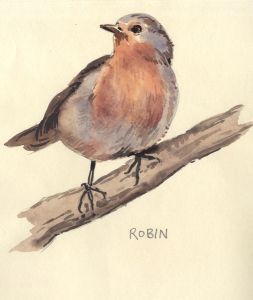 Keith Burtonshaw - Contemporary Watercolour, Robin