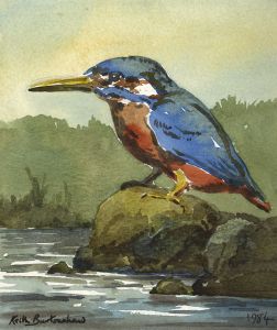 Keith Burtonshaw - 1984 Watercolour, Kingfisher