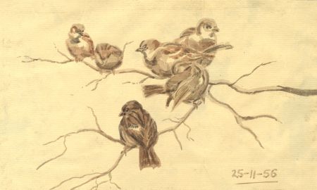 Keith Burtonshaw - 1956 Watercolour, Birds on a Branch