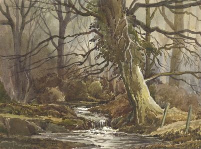 Keith Burtonshaw - 1969 Watercolour, Woodland Stream