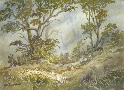 Keith Burtonshaw - 2008 Watercolour, Autumn Woodlands