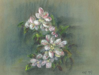 Keith Burtonshaw - 1967 Pastel, Flowers