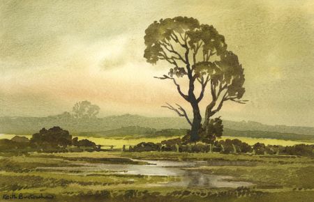 Keith Burtonshaw - Contemporary Watercolour, The Edge of the Field