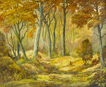 Keith Burtonshaw - Contemporary Oil, Woodland Scene