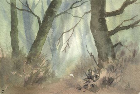 Keith Burtonshaw - 1990 Watercolour, Sheltered Woodland